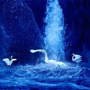 蓝色多瑙河-简单版钢琴谱