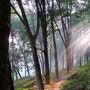 生活是这样美好钢琴谱