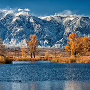 生命的星钢琴谱