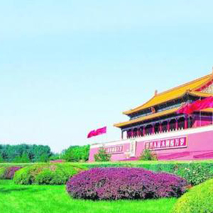 生死相依我苦恋着你钢琴谱