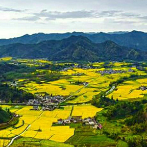 双脚踏上幸福路钢琴谱