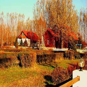 四季八月收获Op37a钢琴谱