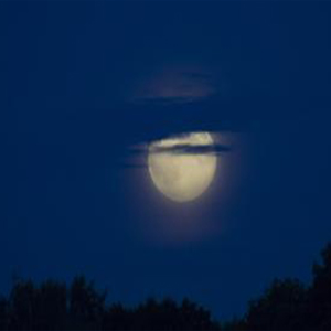 半个月亮爬上来钢琴谱