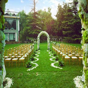 草坪晚会钢琴谱