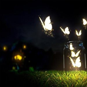 虫儿飞简单版钢琴谱