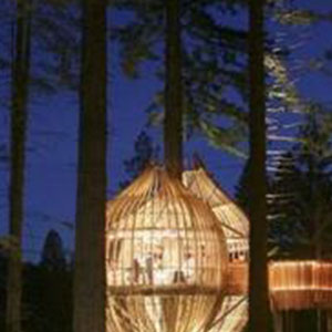 岩口滴水钢琴谱