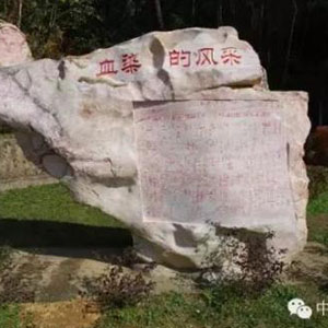 血染的风采钢琴谱