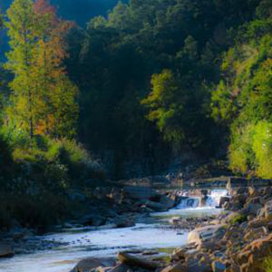 小河淌水钢琴谱