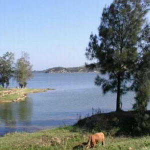 乡音乡情钢琴谱