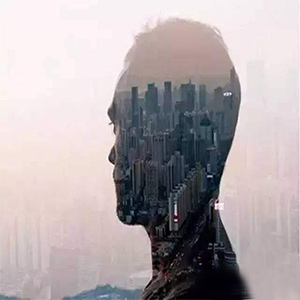 不要惦记家钢琴谱