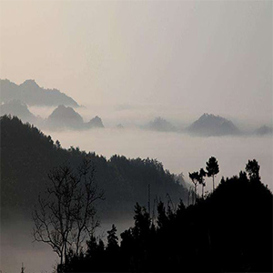 采桑小路钢琴谱