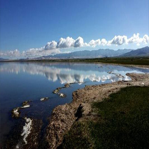 美丽西部钢琴谱