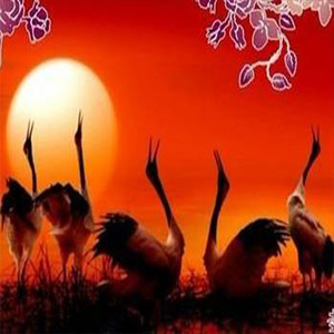 亲吻祖国钢琴谱