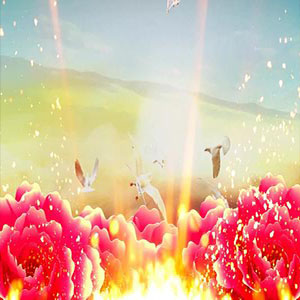 踏歌起舞钢琴谱