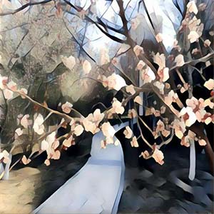 春天你在哪里钢琴谱