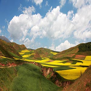 多情的土地钢琴谱