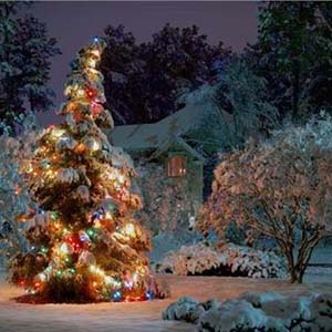 哦圣诞树-简单版钢琴谱