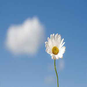 阳光乐章钢琴谱