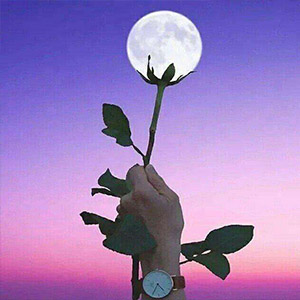 我的月亮钢琴谱