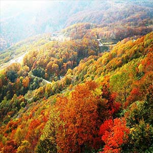 香山的红叶钢琴谱