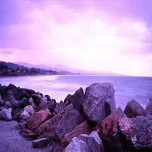 紫色的沙粒钢琴谱