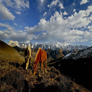 走进西藏钢琴谱