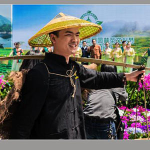 挑担茶叶上北京钢琴谱