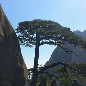 挑夫之歌钢琴谱