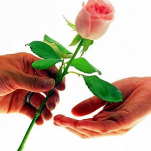 送我一只玫瑰花钢琴谱