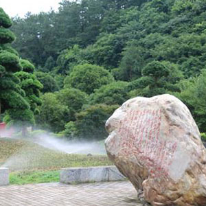 颂歌一曲唱韶山钢琴谱