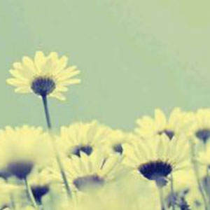 岁月悠悠钢琴谱