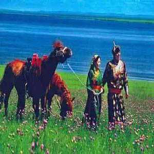 草原上的情歌钢琴谱