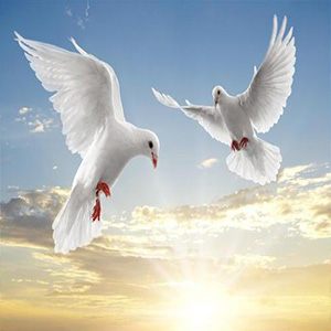 和平之恋钢琴谱