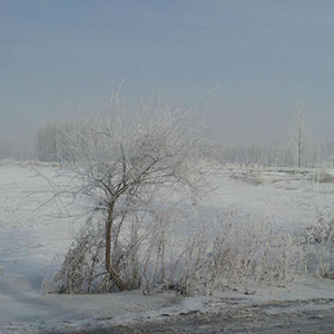 我的大东北钢琴谱