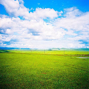 七月的草原钢琴谱