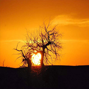 生死相依钢琴谱