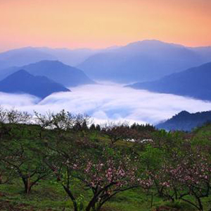 我的祖国钢琴谱