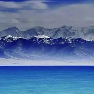 我没有带回我的心钢琴谱