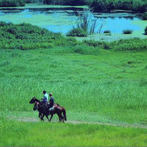 我骑着马而过草原钢琴谱