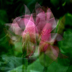 我属于你钢琴谱