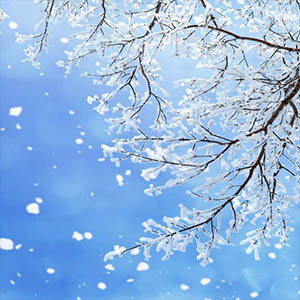 我像雪花天上来钢琴谱