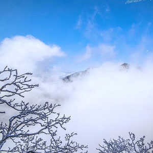 我想雪花天上来钢琴谱