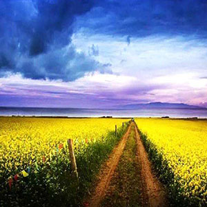 永远跟你走钢琴谱