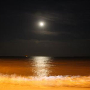 在银色的月光下钢琴谱