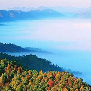 在中国大地上钢琴谱