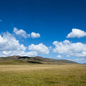 在那遥远的地方钢琴谱