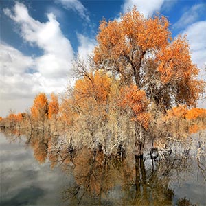 啊，塔里木，塔里木钢琴谱