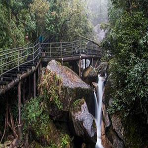 版纳的春雨钢琴谱