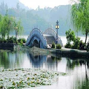 断桥-小青的歌钢琴谱