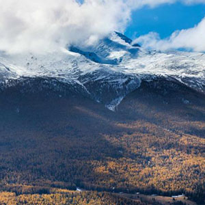 想给边防军写封信钢琴谱